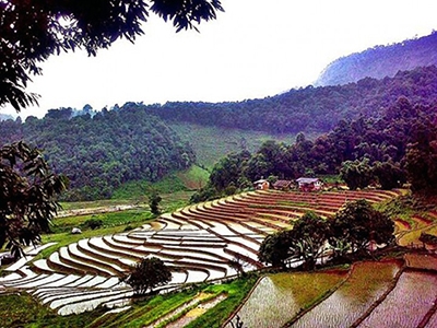 บ้านผาหมอน ดอยอินทนนท์