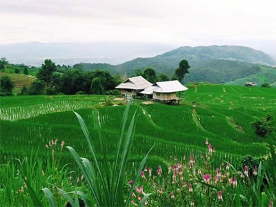 แม่แจ่มโฮมสเตย์ บ้านแม่ศรีนวล เชียงใหม่