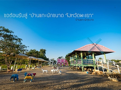 บ้านแกะนักขนาด พะเยา