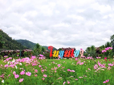 ในขุนเขา สะเมิง เชียงใหม่ Nai Khun Khao