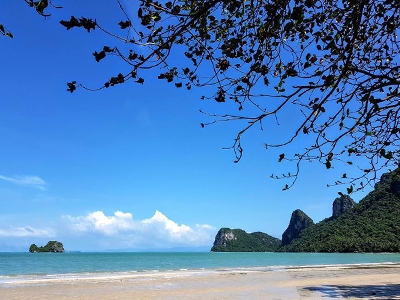 จันผา รีสอร์ท ดอนสัก สุราษฏร์ธานี