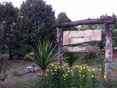สวนแป๊ะ & วันดี  บ้านซำตารมย์ ศรีสะเกษ
