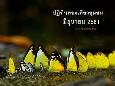 ปฏิทินท่องเที่ยวชุมชน  มิถุนายน 2561