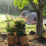 โฮมสเตย์ หมู่บ้านนกร้อง สวนผึ้ง ราชบุรี