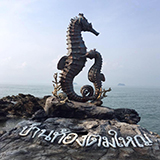 โฮมสเตย์ โกทิศ ท้องตมใหญ่