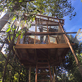บ้านในหมง Treehouse