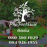 บ้านต้นไม้ คีรีวง Kiriwong Phu Tree House