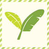 Numthang Permaculture นำทางฟาร์มวิถียั่งยืน