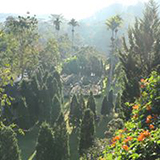 Canary Natural Resort ขุนกรณ์ เชียงราย