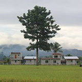 Pua Good View Homestay น่าน