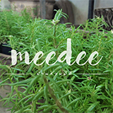 บ้านสวนมีดี ลำพูน meedee homestay