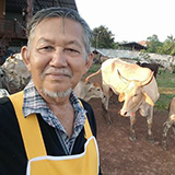 ค้ำคูณ ฟาร์มโคขุน พรรณานิคม สกลนคร
