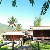 ฟาร์มสเตย์ชุมชนบ้านผาคับ บ่อเกลือ น่าน