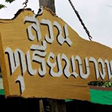 สวนทุเรียนบางพระ ป้าเพ็ญ ชลบุรี
