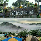 ไร่ภูสายหมอก ดอยเสมอดาว อ.นาน้อย น่าน